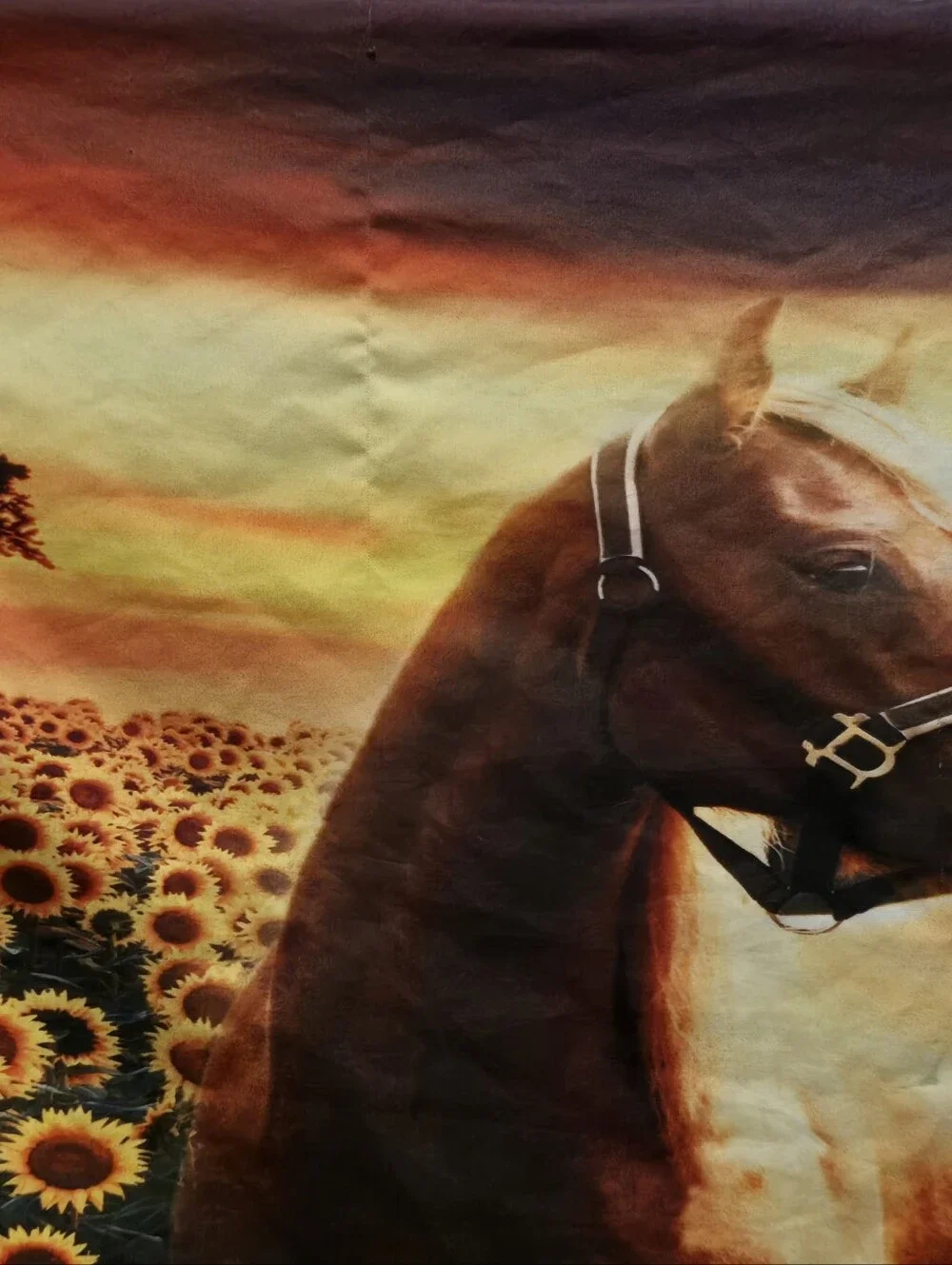 Rustic Horse & Sunflower Themed Comforter Set - (3 Pieces) Full Size